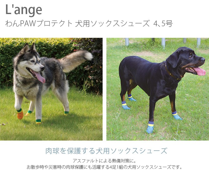 犬 靴下 靴 ドッグシューズ ソックス 犬 服 ドッグウェア L'ange わん