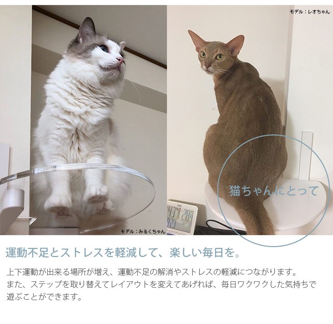猫 賃貸 小さい穴 キャットステップ キャットウォーク キャット 猫 賃貸 小さい穴 キャットステップ キャットウォーク キャット