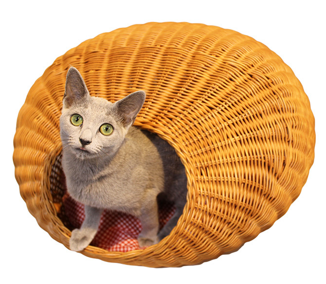 ペットベッド 猫用 ベッド ラタン ホワイト N4-style ラタンエッグ