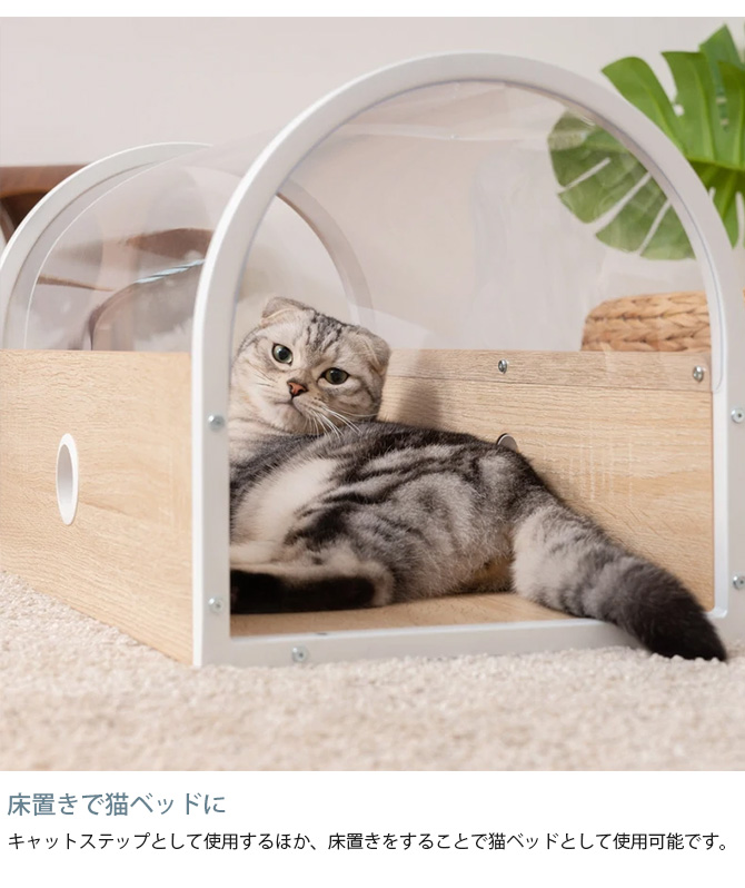 猫用 猫 キャットステップ キャットウォーク クリア MYZOO マイズー Tunnel