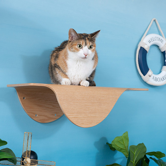 MYZOO マイズー Stingray 単品 猫 キャットステップ 木製 おしゃれ キャットウォーク 大型猫 北欧 インテリア 壁付け 棚板 