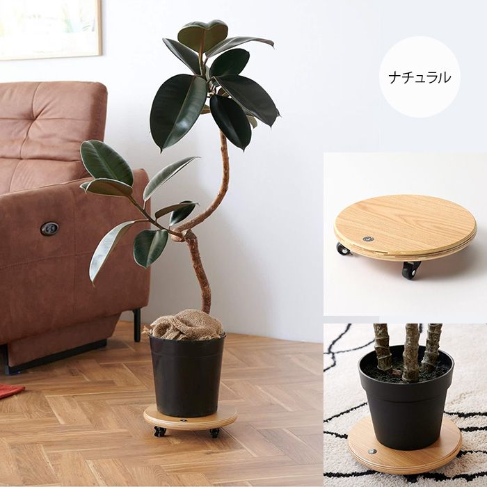 ジャーナルスタンダードファニチャー　植木鉢　イデー　プエブコ　ミッドセンチュリー ミッドセンチュリー ジャーナルスタンダードファニチャー プエブコ イデー