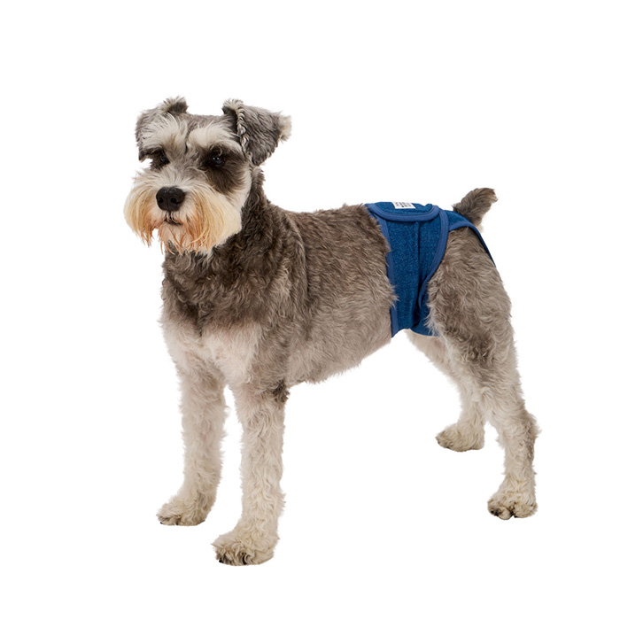 MANDARINE BROTHERS（マンダリンブラザーズ） 犬用 マナーパンツ メス