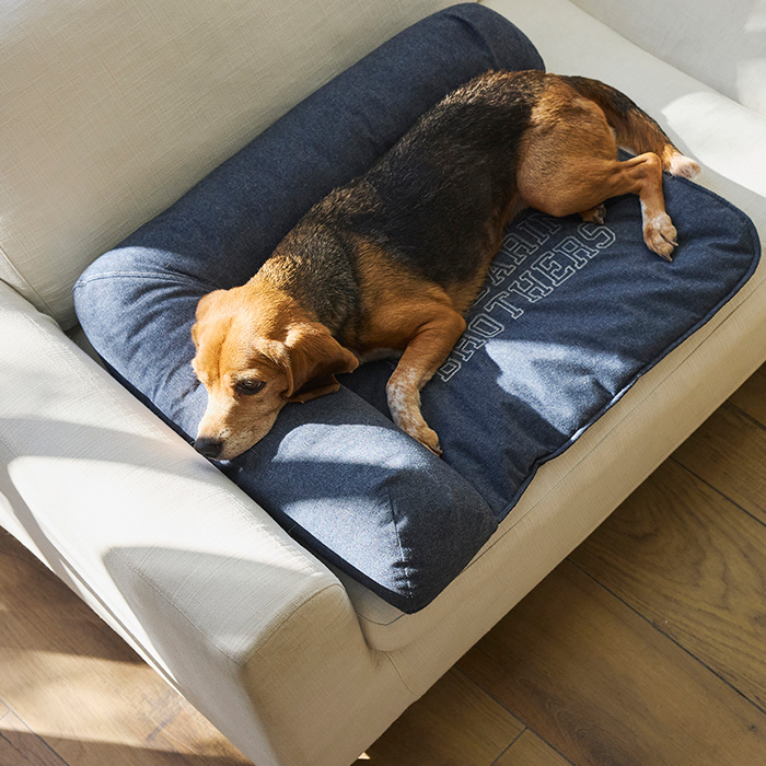 MANDARINE BROTHERS CUDDLER2025年新作 犬用ベッド 楽天市場】【2025年春夏新作】フラットベッド Mサイズ 全2色