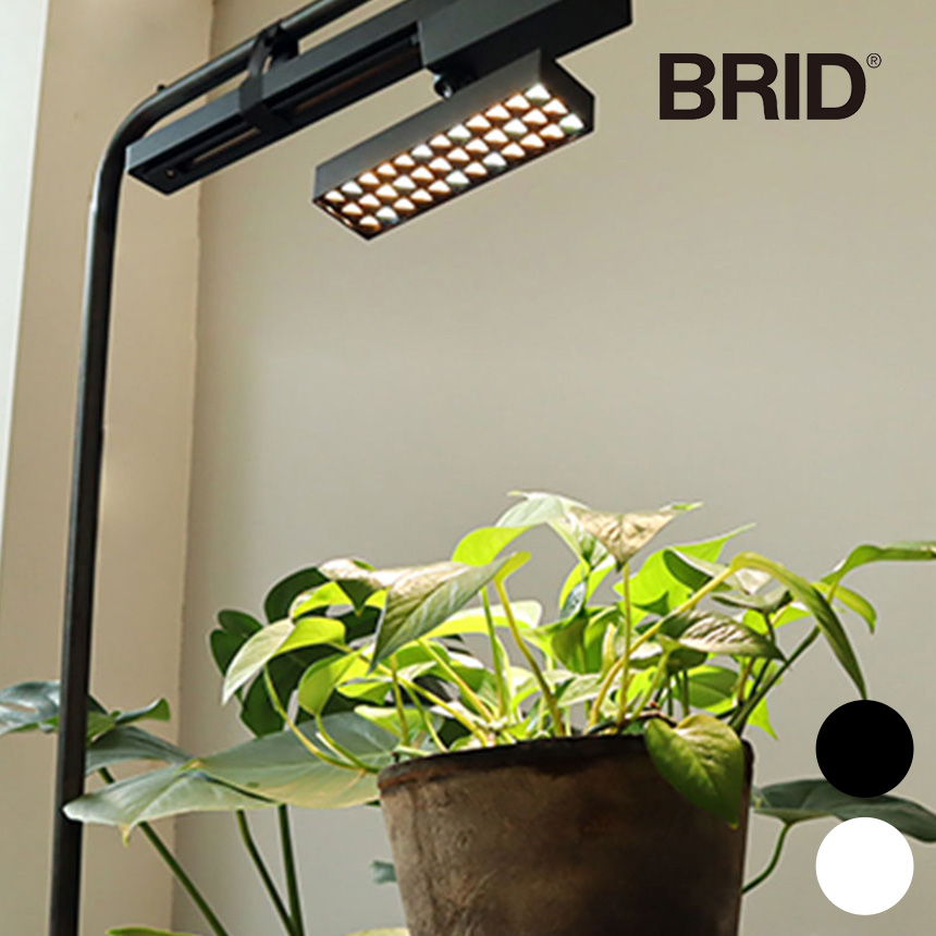 植物ライト ダクトレール 電源 室内 インテリア 多肉 植物 園芸 育成 家庭菜園 栽培 BRID ブリッド LED 植物育成ライト 20W :  mpg-4645 : uminecco(ウミネッコ) - 通販 - Yahoo!ショッピング