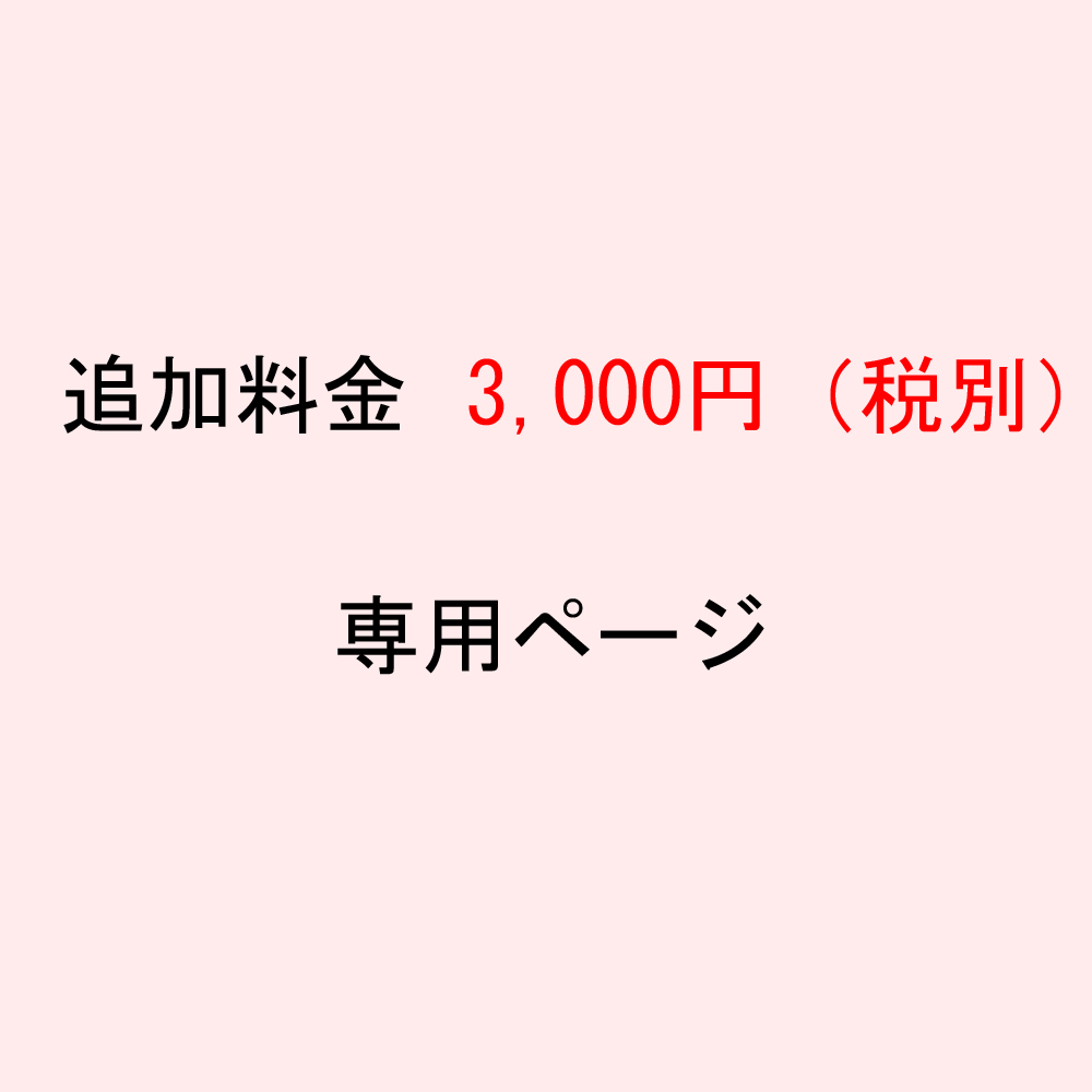 追加料金　3000円（税抜き）｜gisell