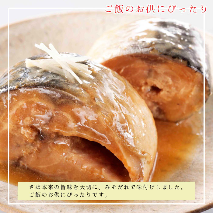 缶詰 魚 防災 非常食 鯖缶 味噌煮缶 12缶 セット 宝幸 HOKO 日本のさば サバ缶 鯖 サバ さば 味噌煮 12缶セット 缶詰め 缶づめ ギ  : aib211121 : zakka green - 通販 - Yahoo!ショッピング