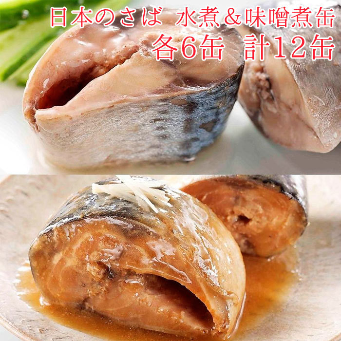 缶詰 魚 防災 非常食 鯖缶 水煮＆味噌煮 各6缶 12缶 セット 宝幸 