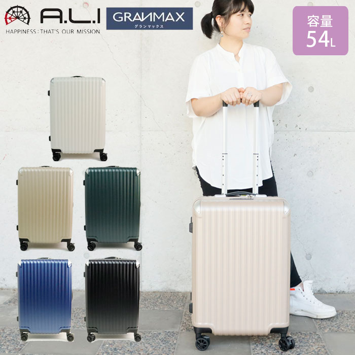 スーツケース Mサイズ キャリーケース 手荷物預け無料サイズ GLANMAX ハード GM-065-22 軽量 トラベルケース トラベル 旅行 国内