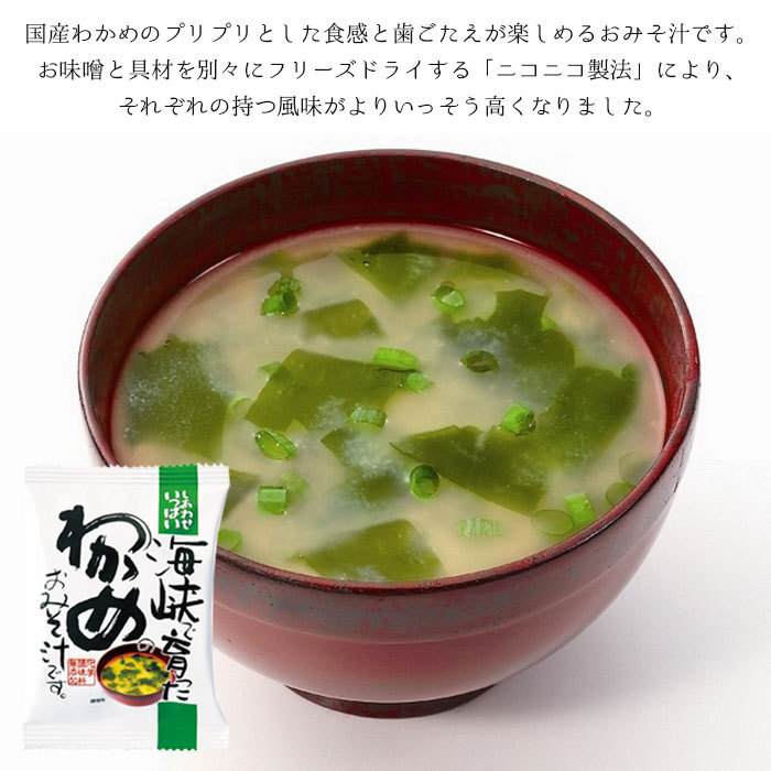 高速配送 ヤマナカ 野菜たっぷりみそ汁の具 45g １０個 １ケース qdtek.vn