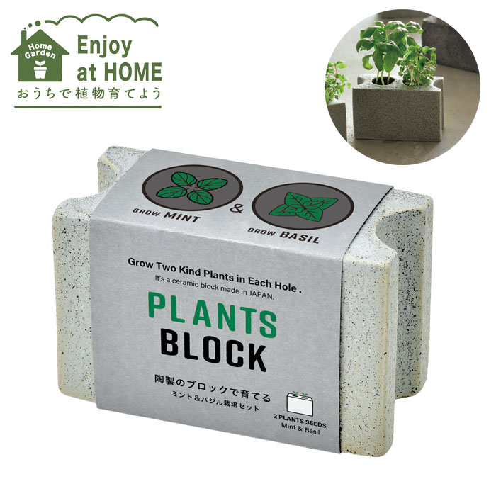 栽培キット ミント 聖新陶芸 プランツブロック M バジル 栽培セット GD