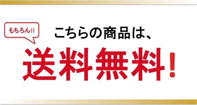 キングダム ハーツ グッズ ネックレス シーソルトアイス アクセサリー