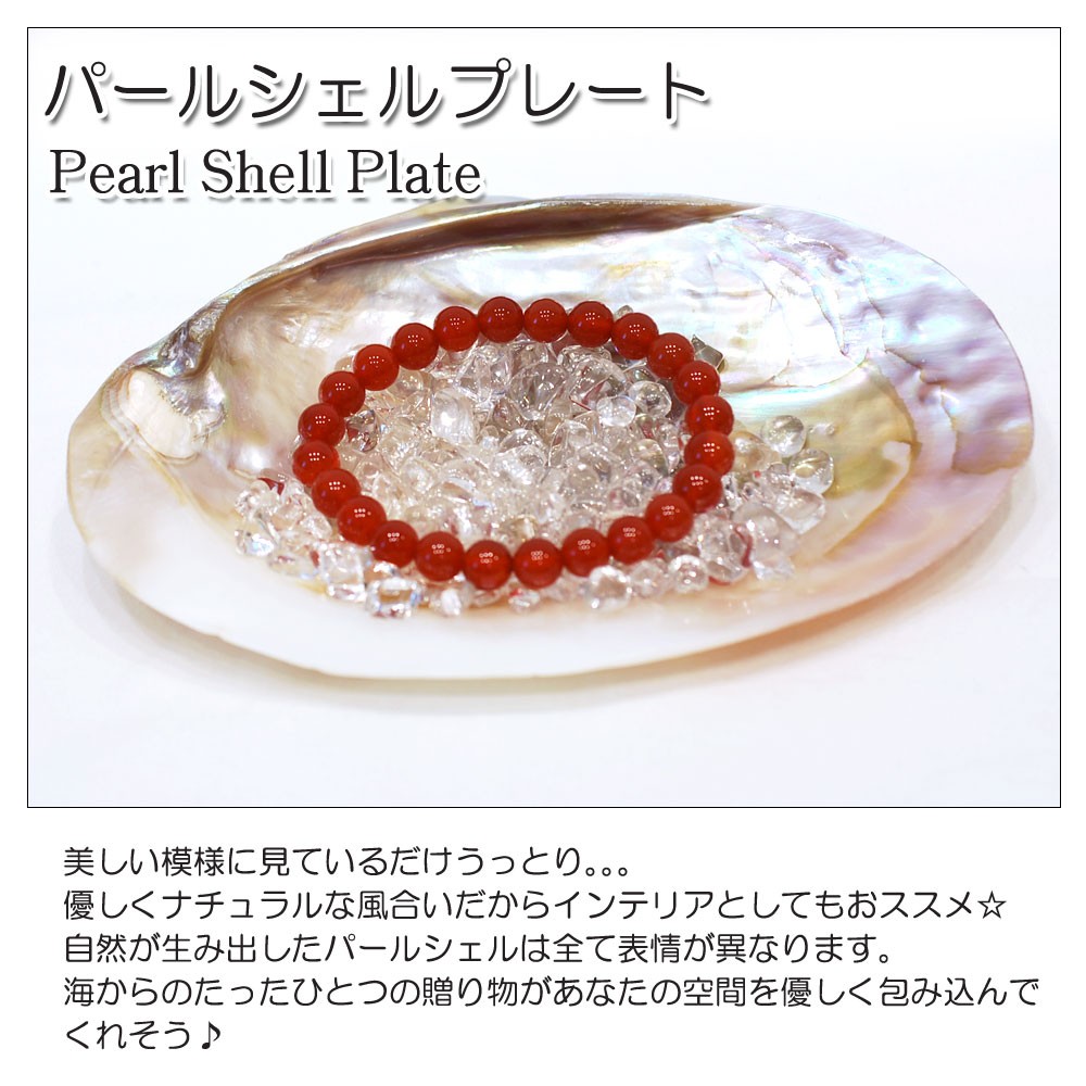 【まとめ売り】天然パールシェル貝皿 20個 天然貝 浄化皿 パールシェル 大きめサイズ 横幅16～17cm