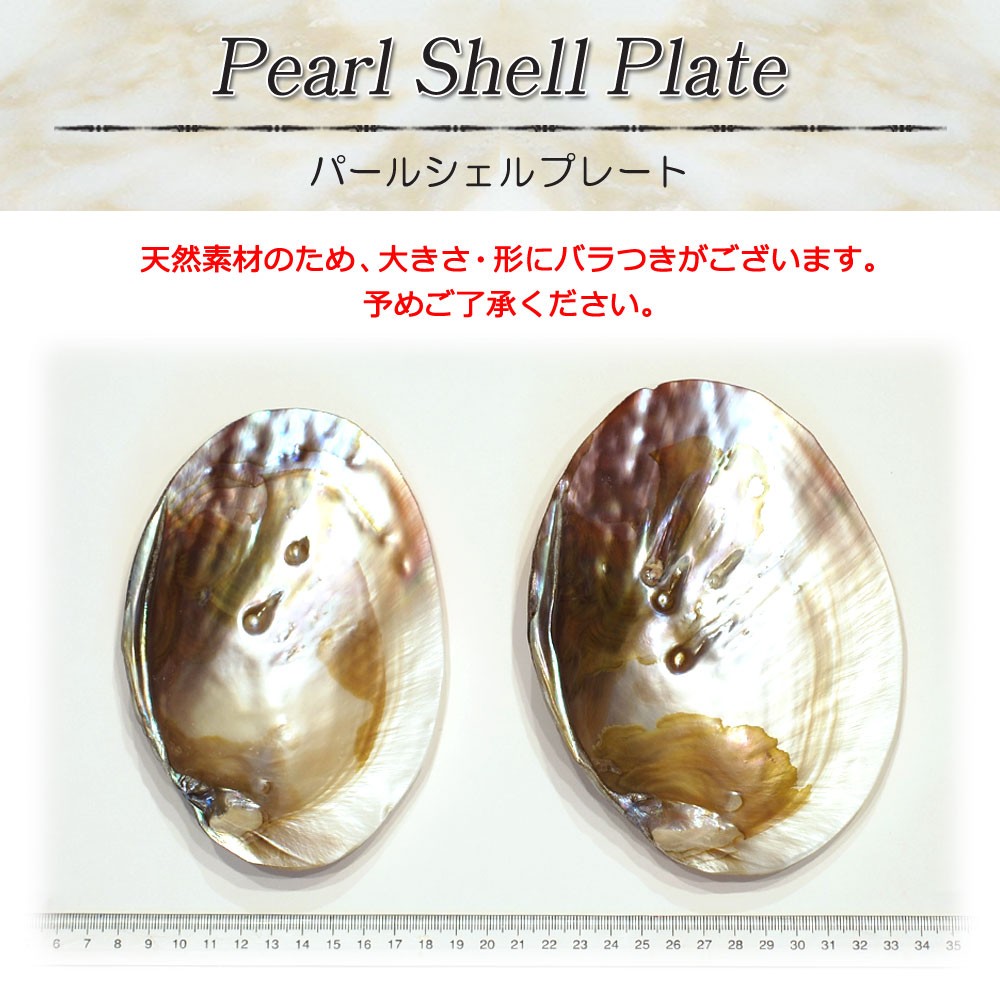 【まとめ売り】天然パールシェル貝皿 20個