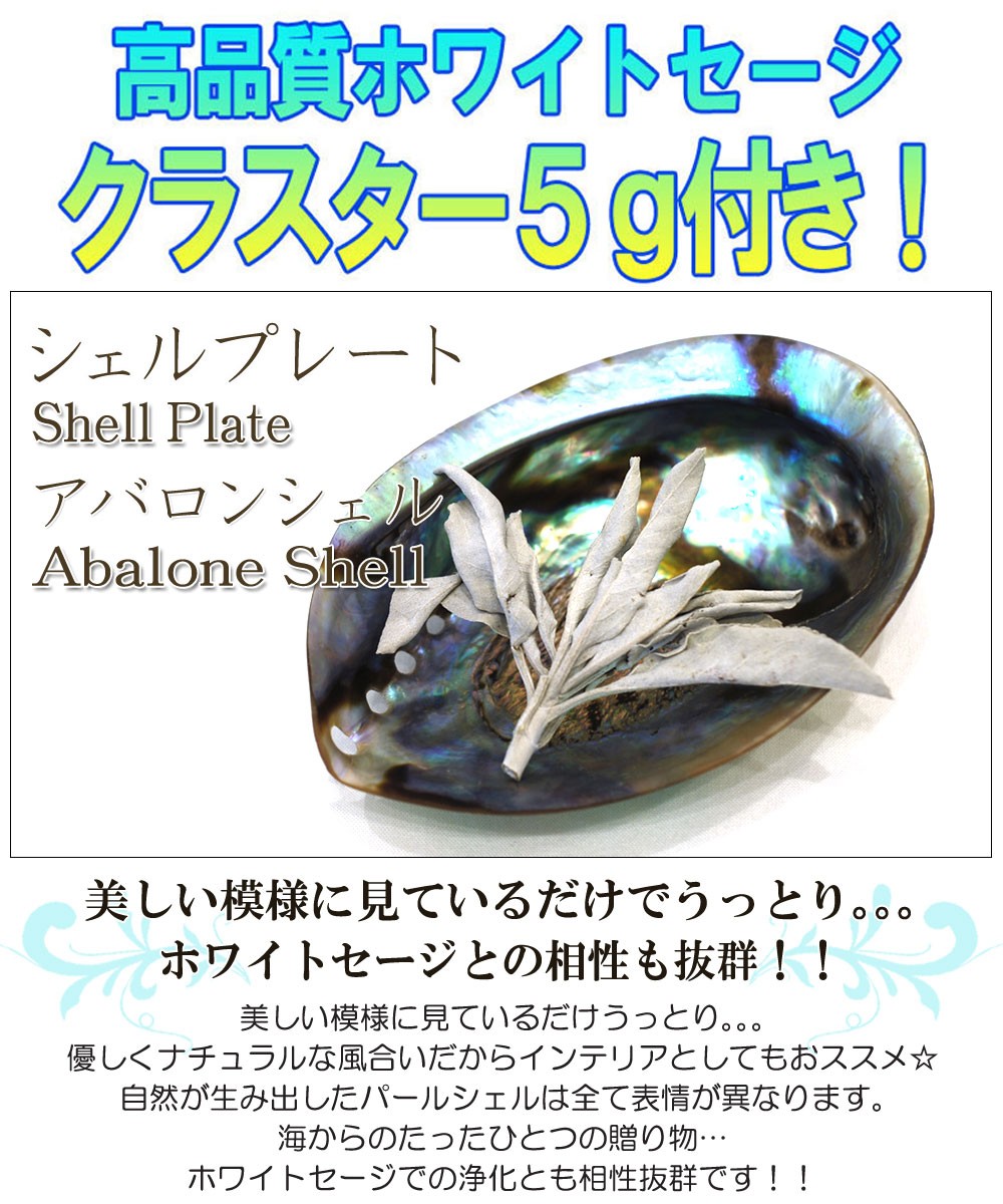 当日発送対応（休業日は除く】シェルプレート アバロンシェル