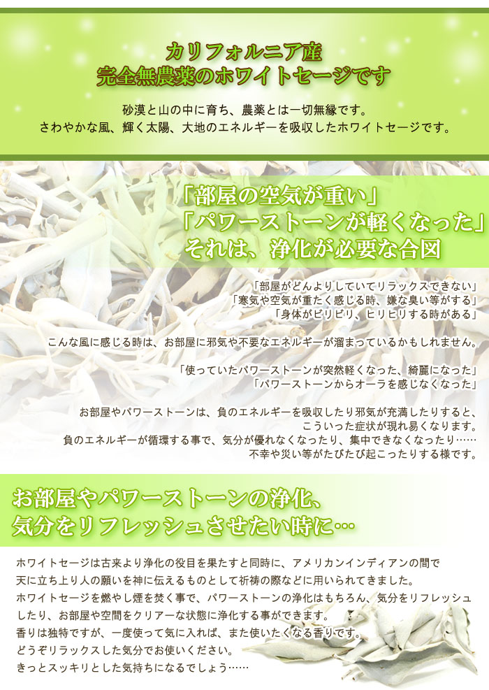無農薬 高品質 浄化用 カリフォルニア産 ホワイトセージ ビック