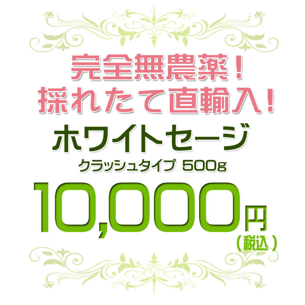 楽天最安値に挑戦】 ホワイトセージ リーフ 500g energienutricao.com.br