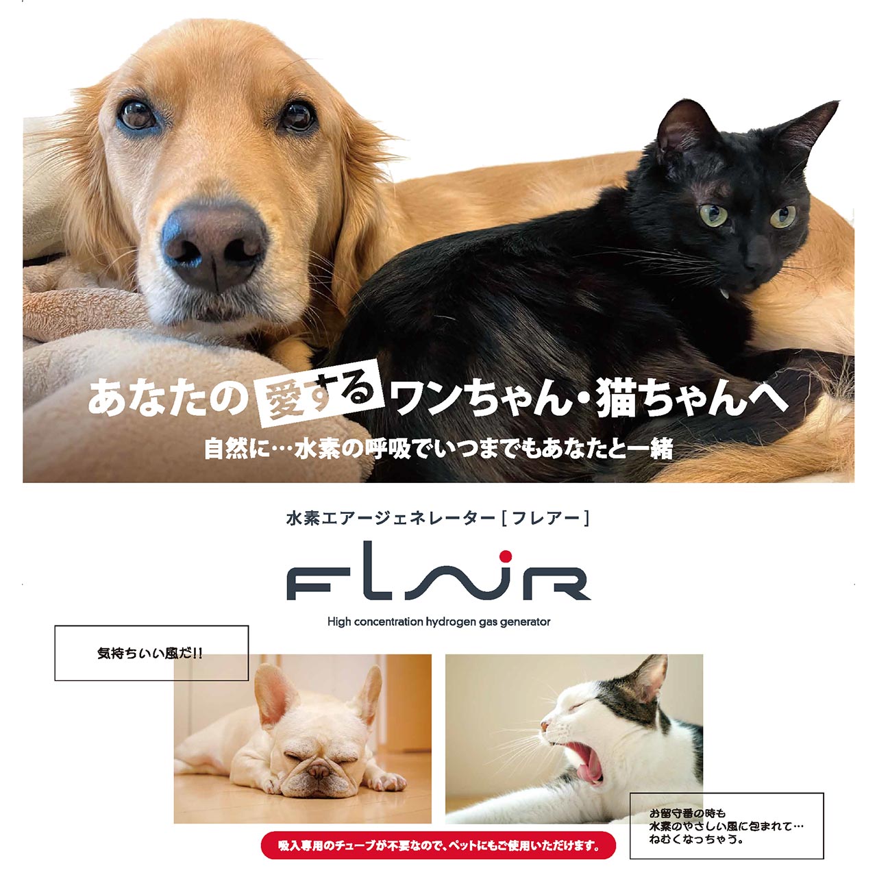 FLAIR フレアー 水素吸入器 水素吸引器 水素ガス生成器 水素エアー発生