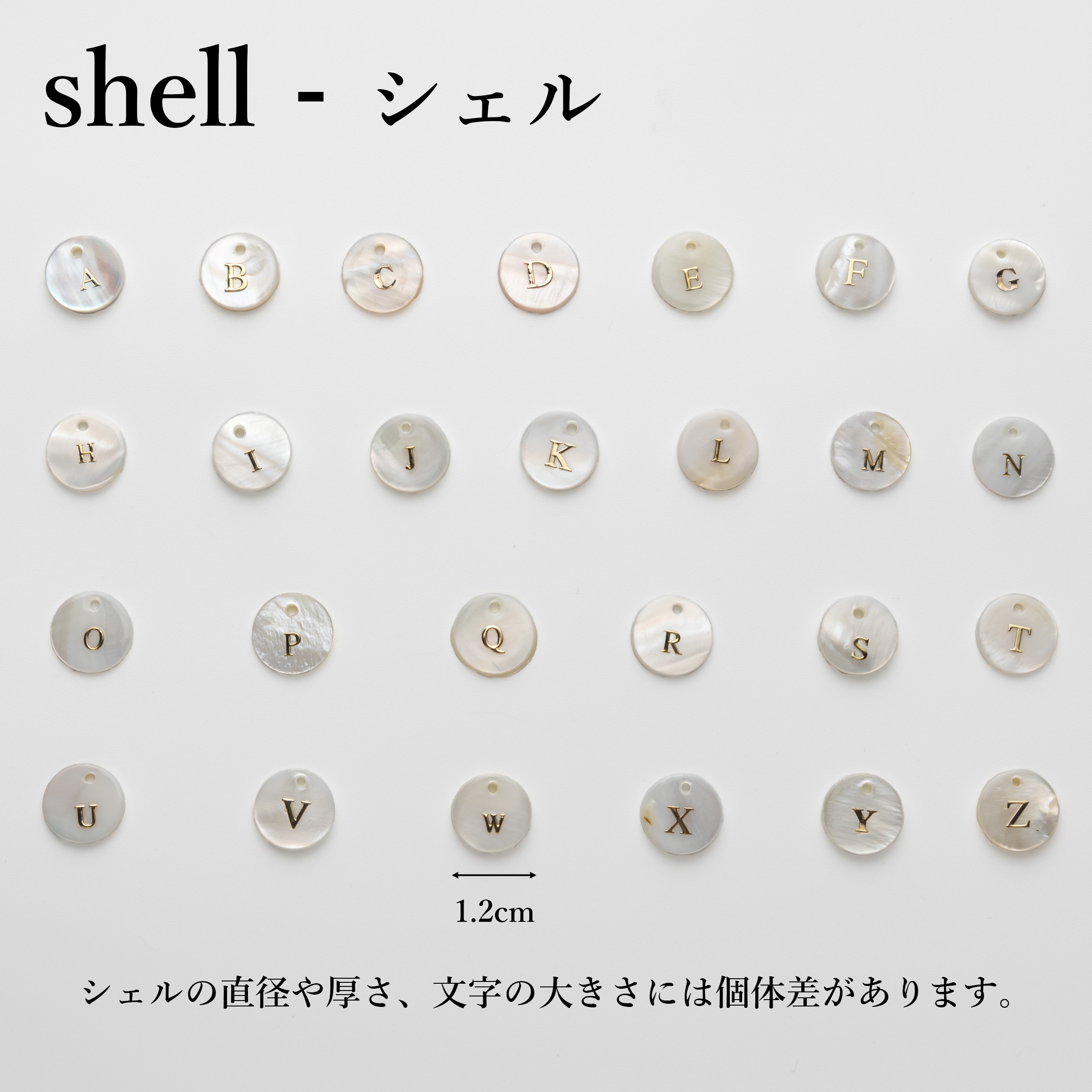 シェル