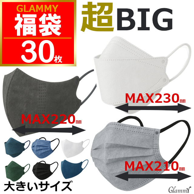 福袋 2026 大きいサイズ マスク 不織布 選べる3パック 30枚
