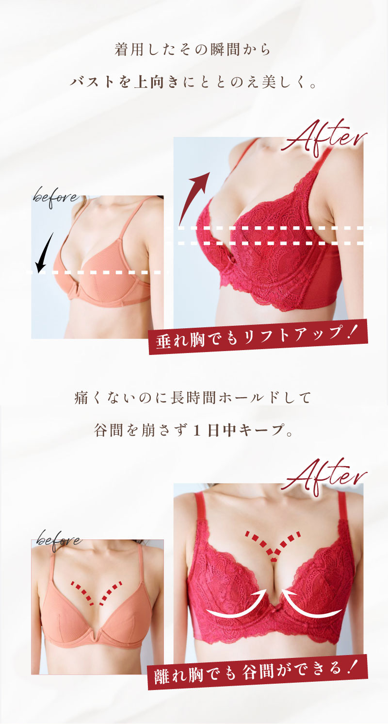 ブラジャー 育乳ブラ 育乳 脇高 補正下着 脇肉 贅肉 バストアップ 垂れ胸 補正 ブラ単品