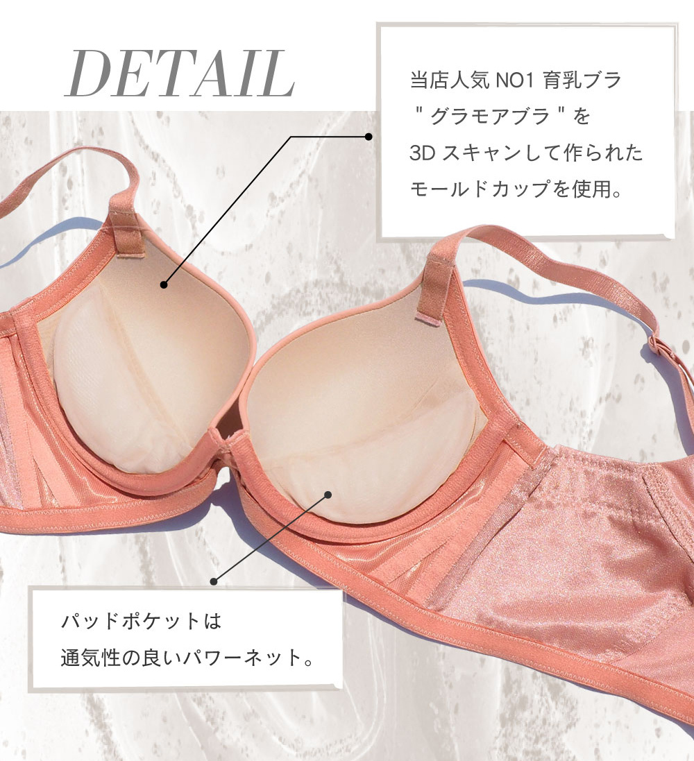 ブラジャー 育乳ブラ 育乳 脇高 補正下着 脇肉 贅肉 バストアップ 垂れ胸 補正 上下セット