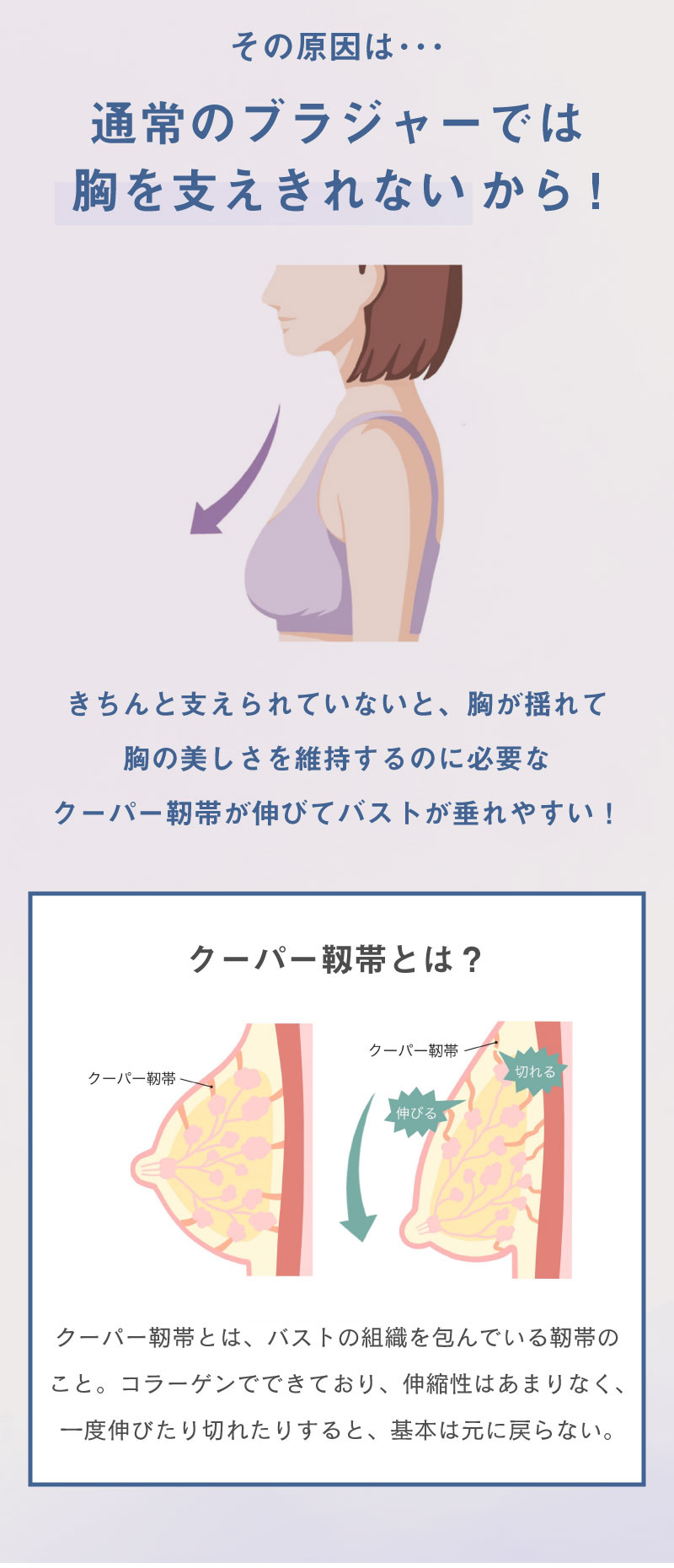 ブラジャー レディース グラマー 大きいサイズ グラマーフィットブラ glamore グラモア