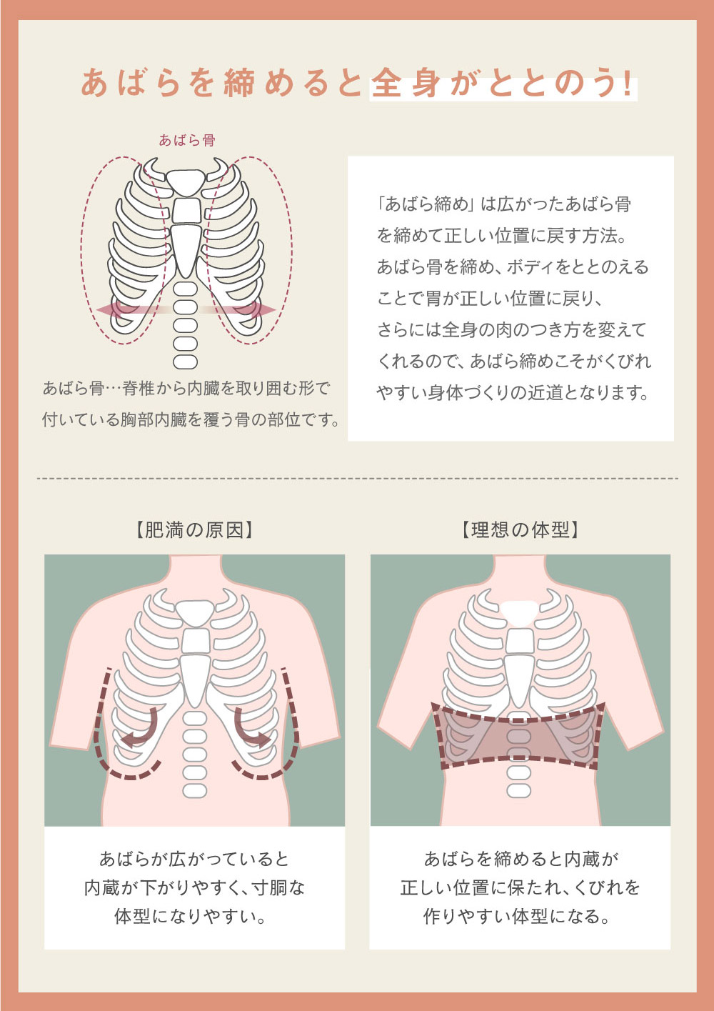 あばら締めに着目した、育乳シェイパー。バストメイクだけじゃない！着用するだけで姿勢が整う育乳ブラ専門店の補整下着。 