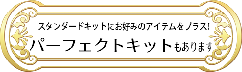 パーフェクトキットはこちら