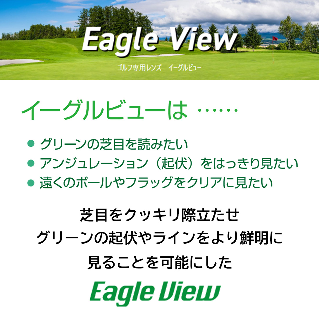 RayBan ウェイファーラー EAGLE VIEW ゴルフ　サングラス Ray-Ban（レイバン） サングラス EAGLE VIEW イーグルビュー ゴルフ