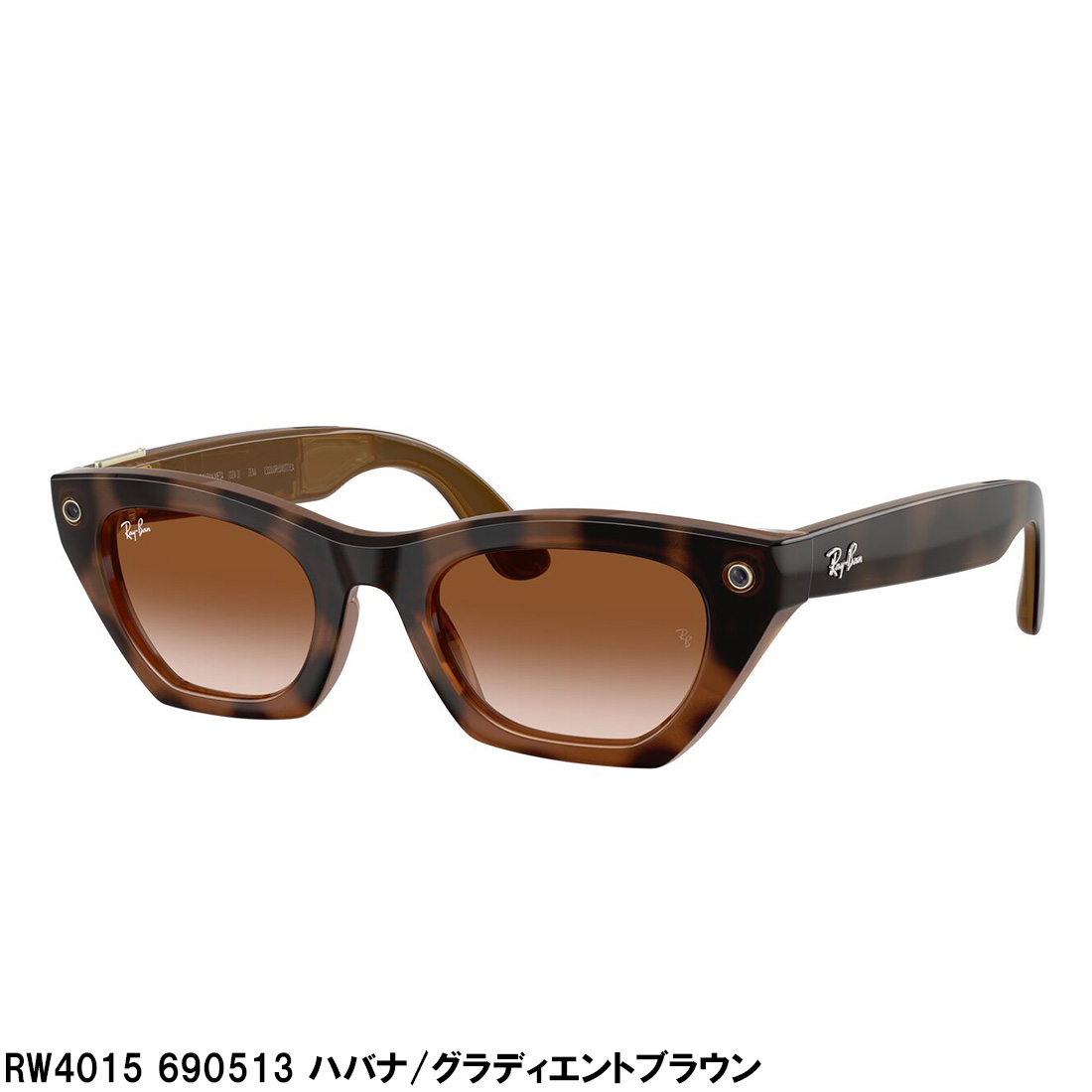 Ray-Ban（レイバン） メタ サングラス NewModel 正規品 AIグラス