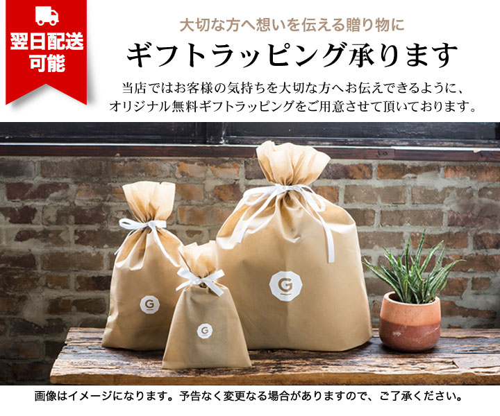 名入れ無料]一目瞭然通院ウォレットBIZ お薬手帳 ケース 診察券