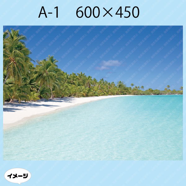 水槽用バックスクリーン 海 : 神楽グッズ専門店神楽傳 - 通販 - Yahoo