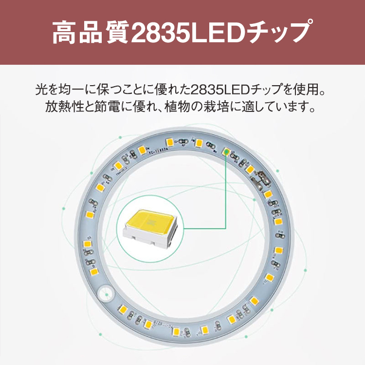 植物育成ライト,two,head,植物ライト,LED成長ライト,屋内植物,フルスペクトル,5V,USB,エンジェルリング,植物ライト,室内栽培,観葉植物,植物成長促進用ランプ,野菜,日照不足解消