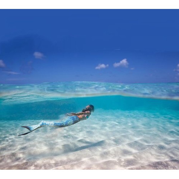Amazon.co.jp: マーメイド 水着 人魚水着 足ひれ 人魚姫 人魚