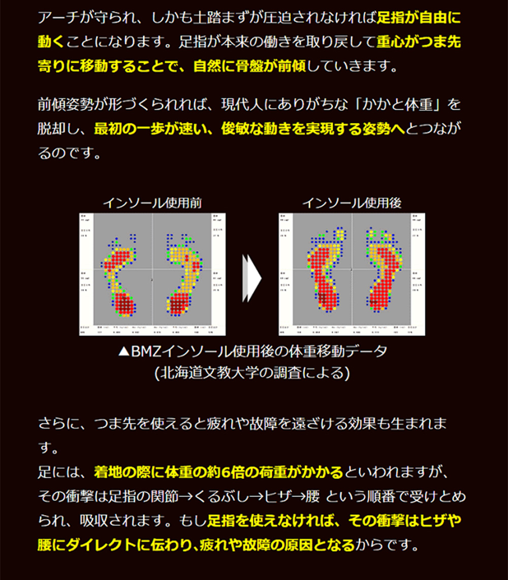 BMZ ビーエムゼット インソール 初心者向け サッカー用 カルパワー
