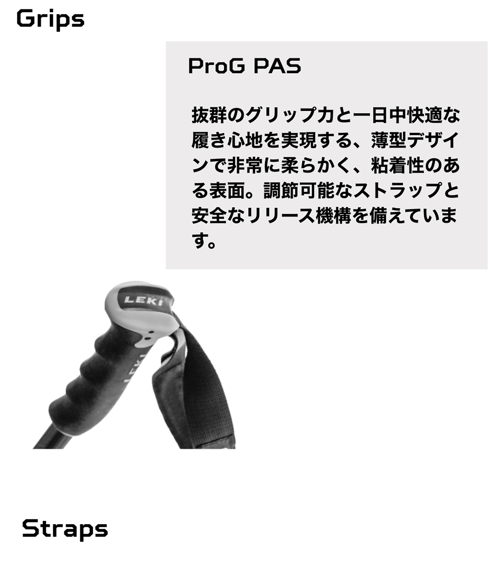 LEKI（レキ） 【並行輸入品】 ポール アルペンスキー 653472011 Alpine