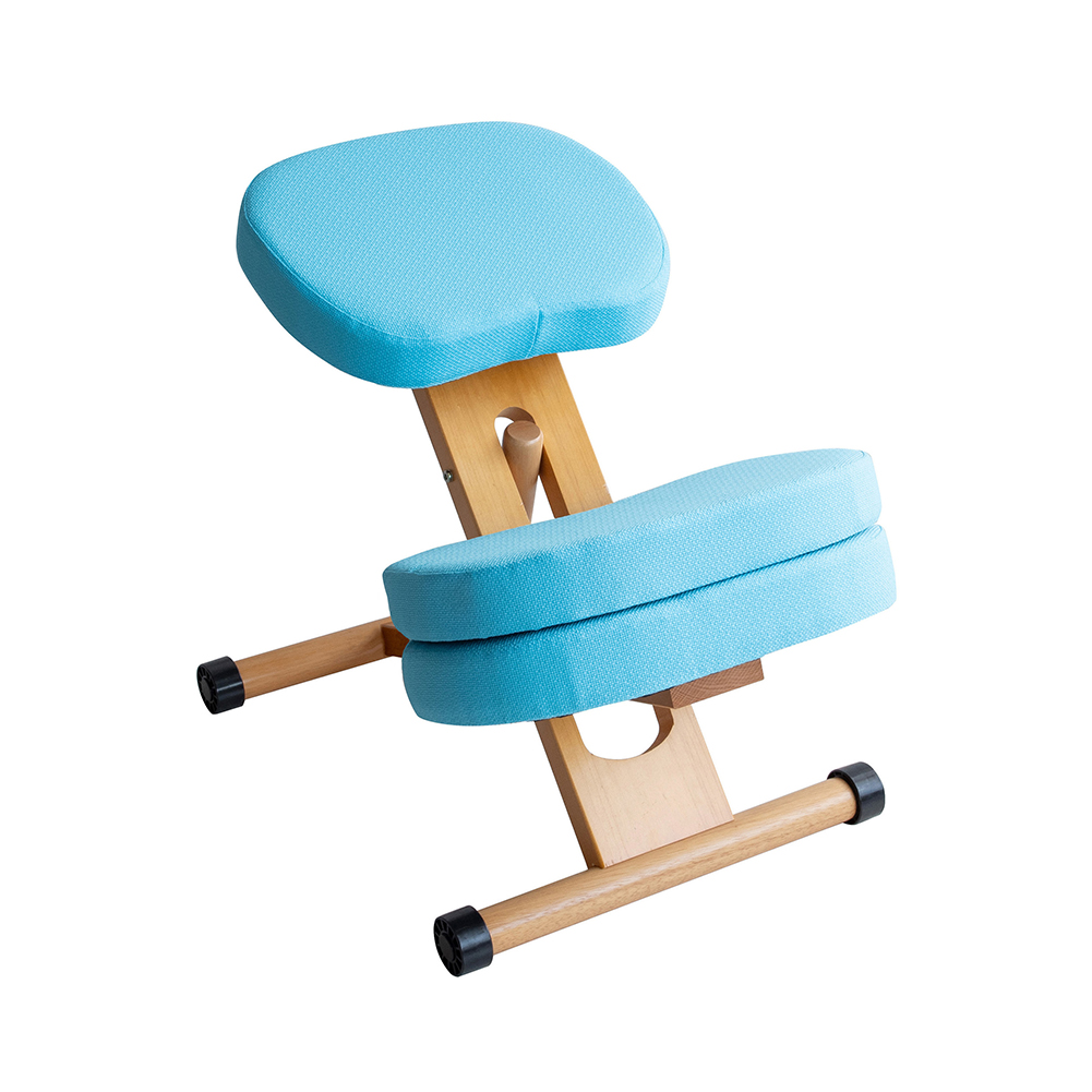 宮武製作所 学習椅子 バランスチェア クッション付きプロポーション