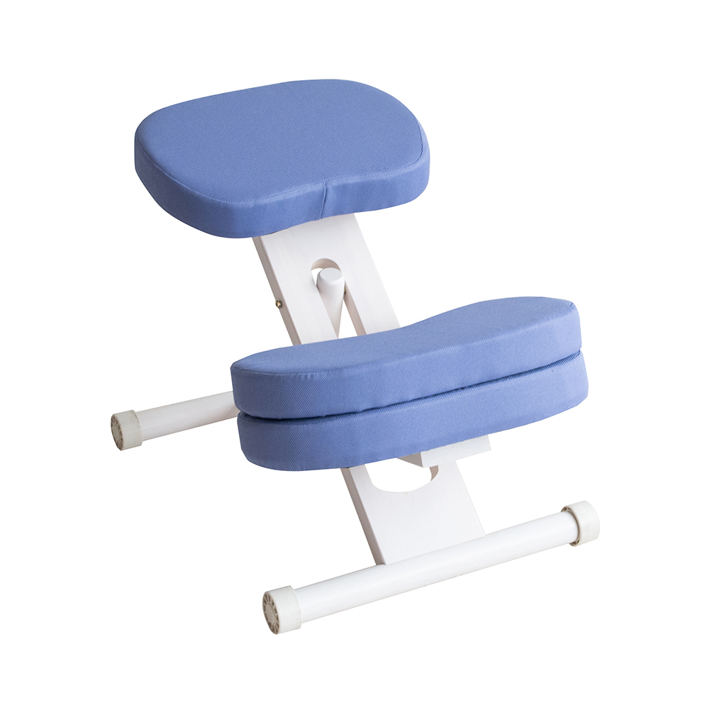 宮武製作所 学習椅子 バランスチェア クッション付きプロポーション