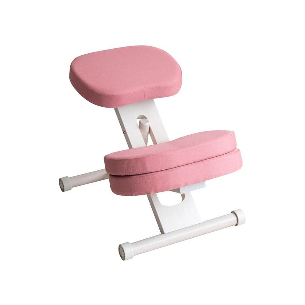 宮武製作所 学習椅子 バランスチェア クッション付きプロポーション