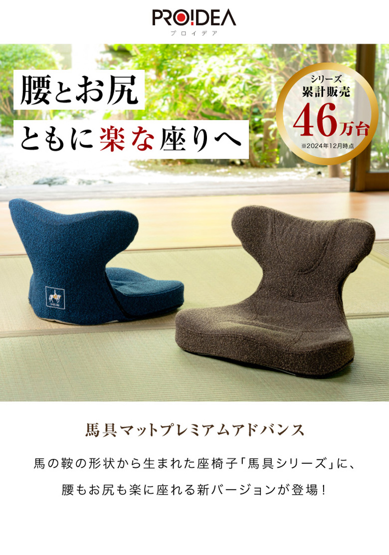 PROIDEA（プロイデア） 馬具マットプレミアムアドバンス 座椅子 腰もお