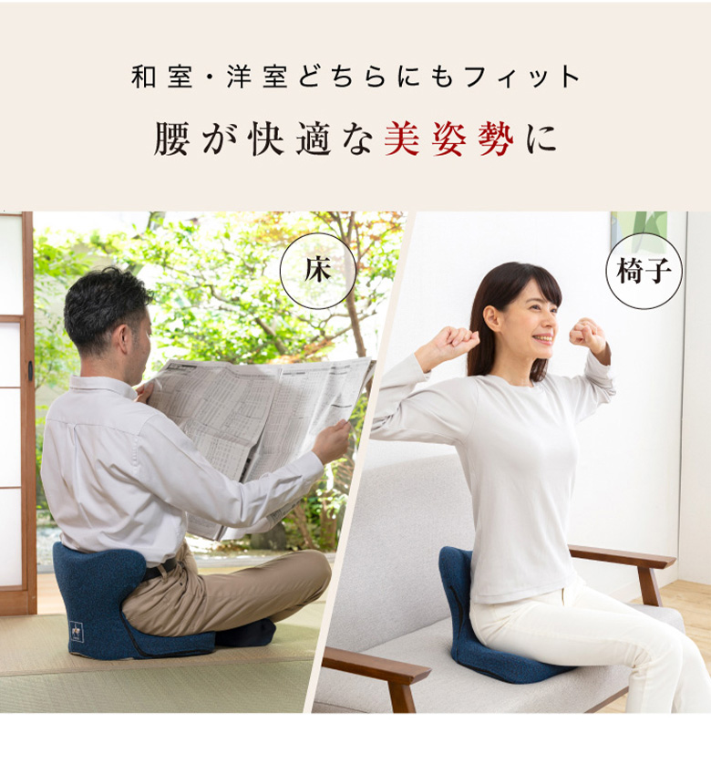 PROIDEA（プロイデア） 馬具マットプレミアムアドバンス 座椅子 腰もお