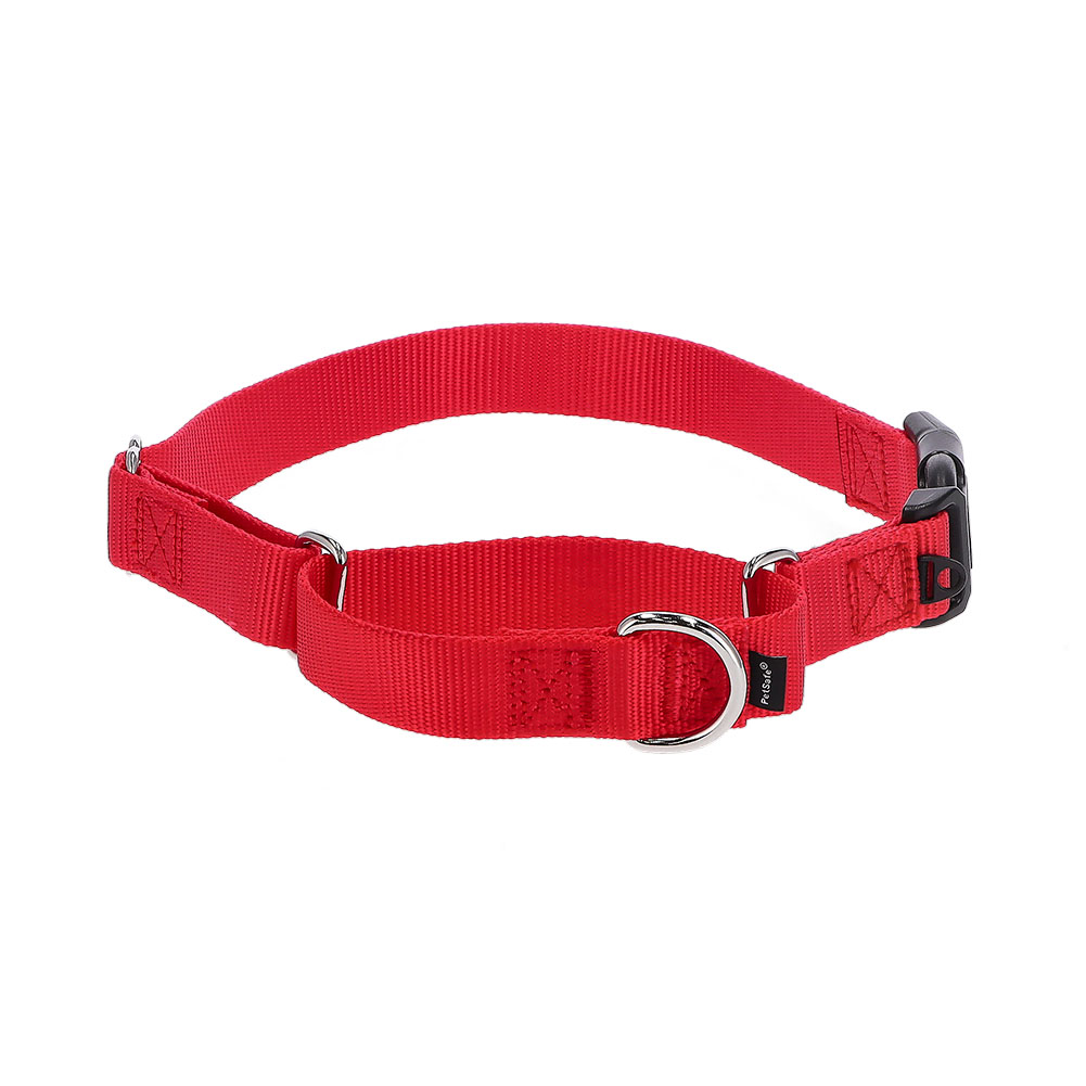 PetSafe 連休中も休まず配送 【並行輸入品】 ペットセーフ 首輪