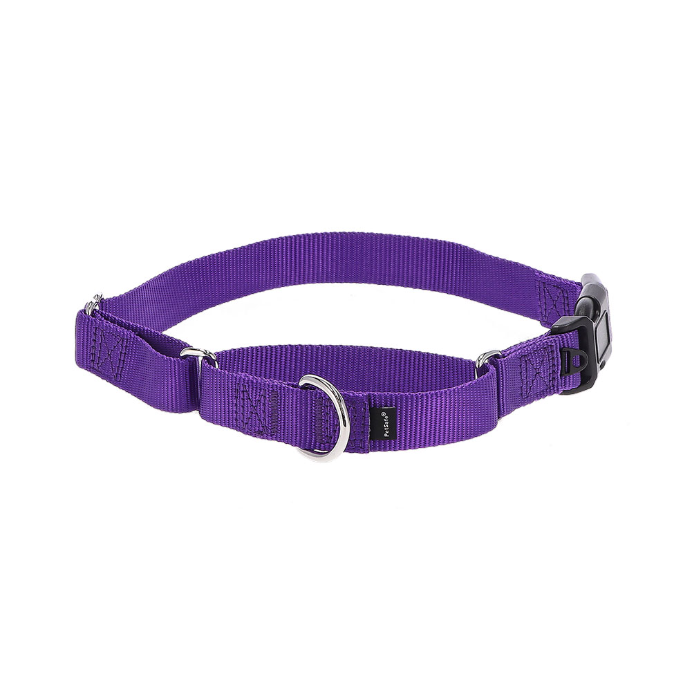 PetSafe 【並行輸入品】 ペットセーフ 首輪 ナイロンマーチンゲール S