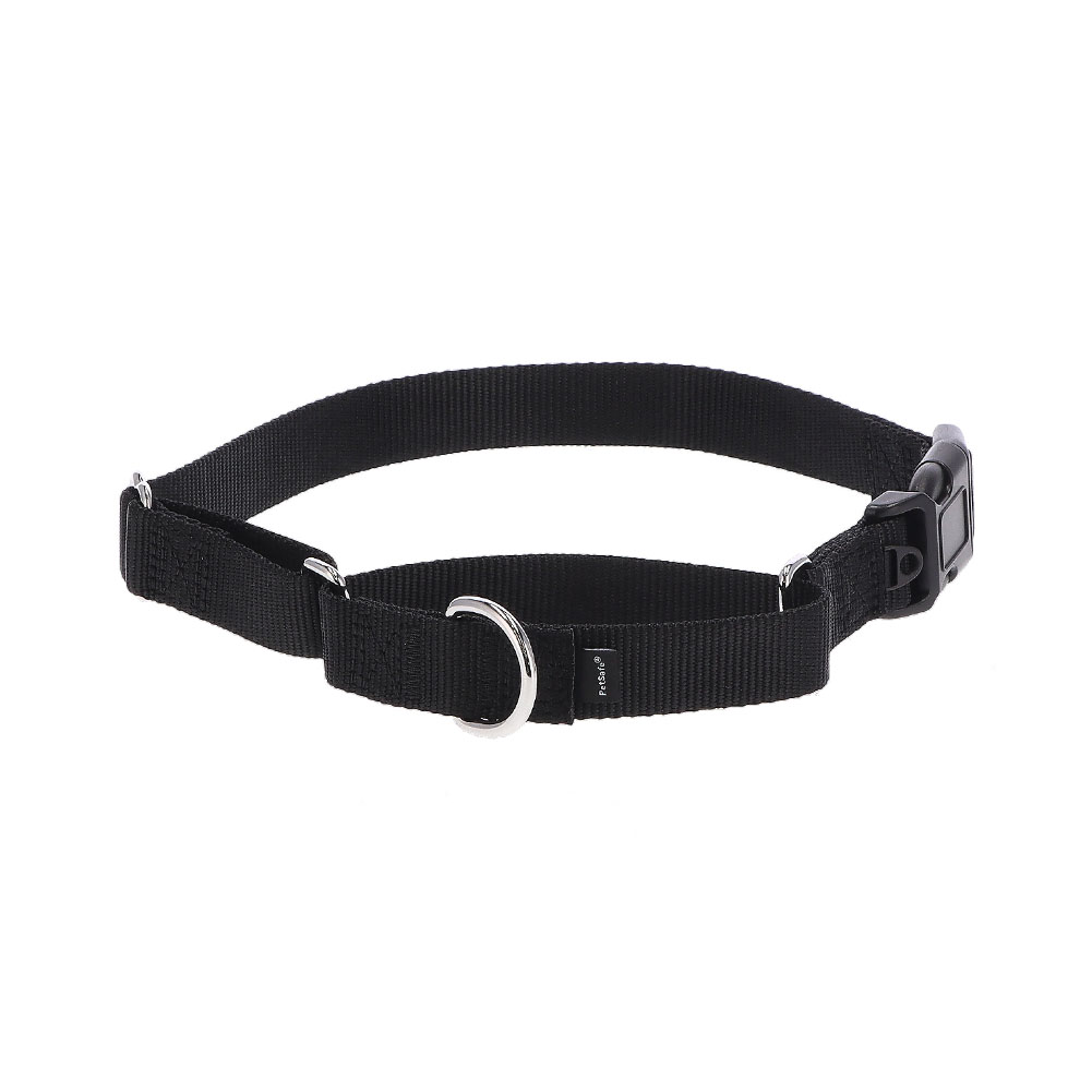 PetSafe 【並行輸入品】 ペットセーフ 首輪 ナイロンマーチンゲール S