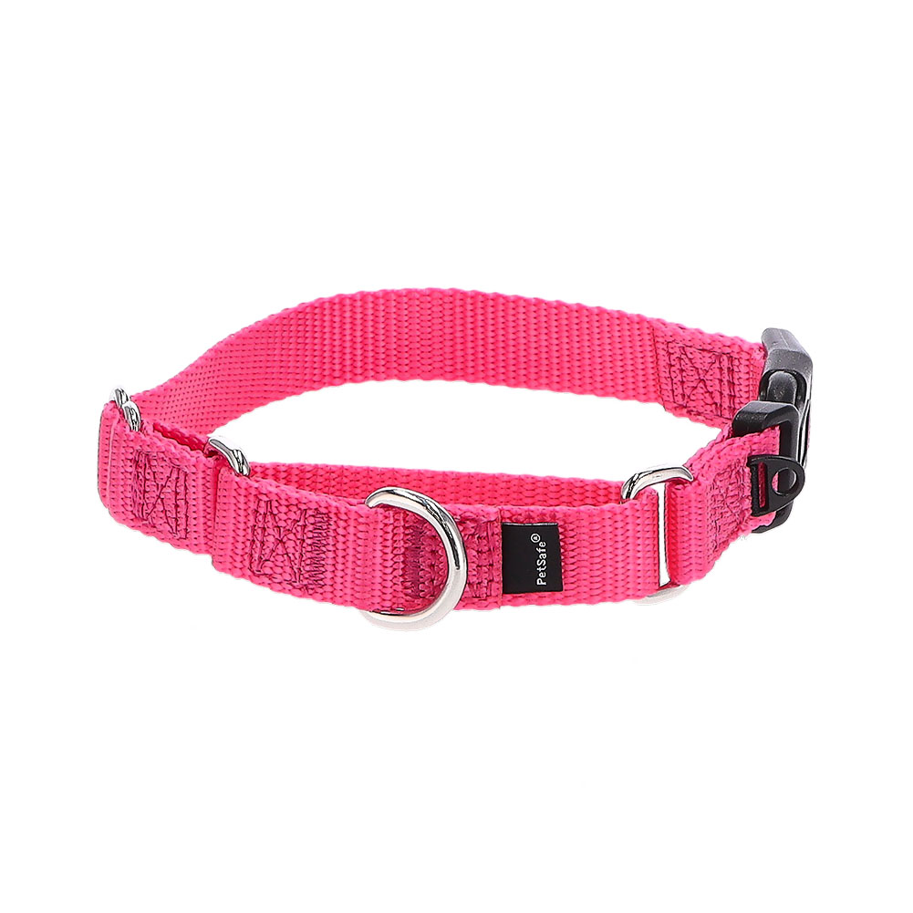 PetSafe 【並行輸入品】 ペットセーフ 首輪 ナイロンマーチンゲール S