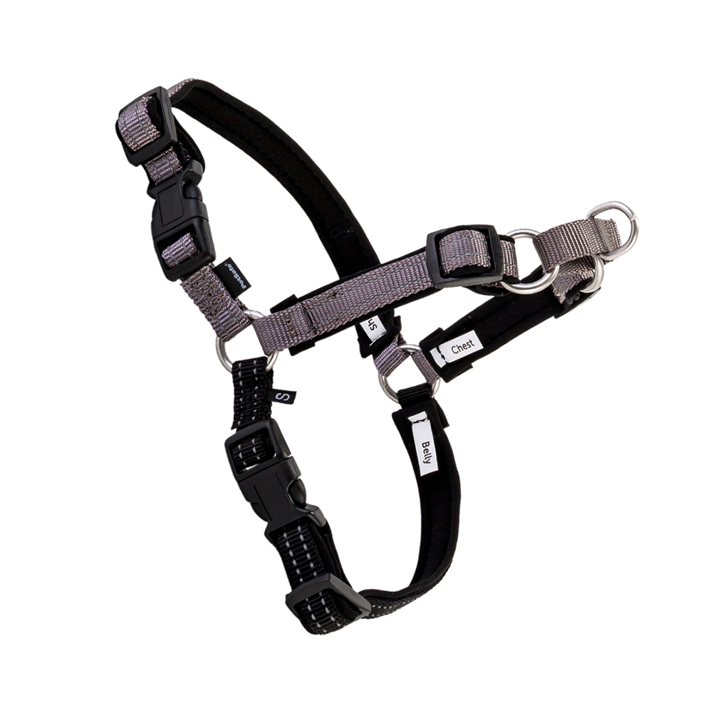 PetSafe 【並行輸入品】 ペットセーフ 犬用 デラックス イージー
