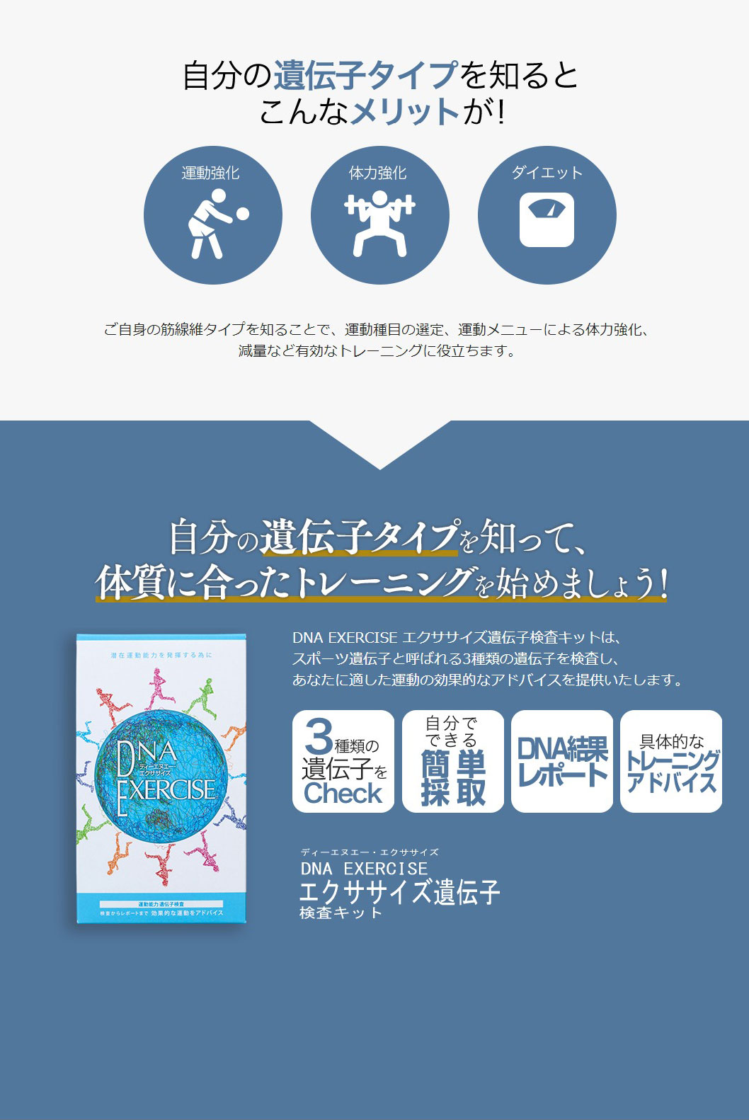 DNA EXERCISE エクササイズ遺伝子検査キット 遺伝子キット 検査キット トレーニング 効果 アドバイス ダイエット 健康維持