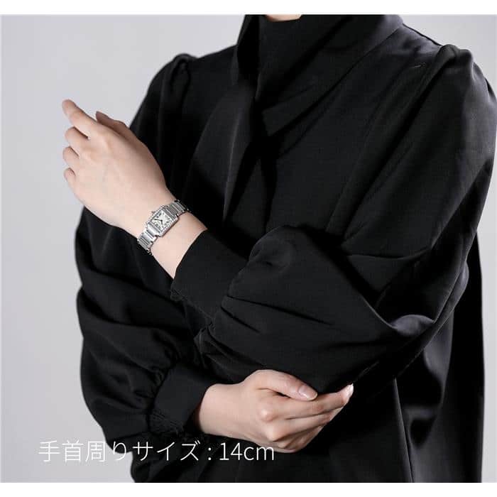 179】Cartier カルティエ 空箱 メンテナンスセット ブランド ギフト箱 179】Cartier カルティエ 空箱 メンテナンスセット ブランド