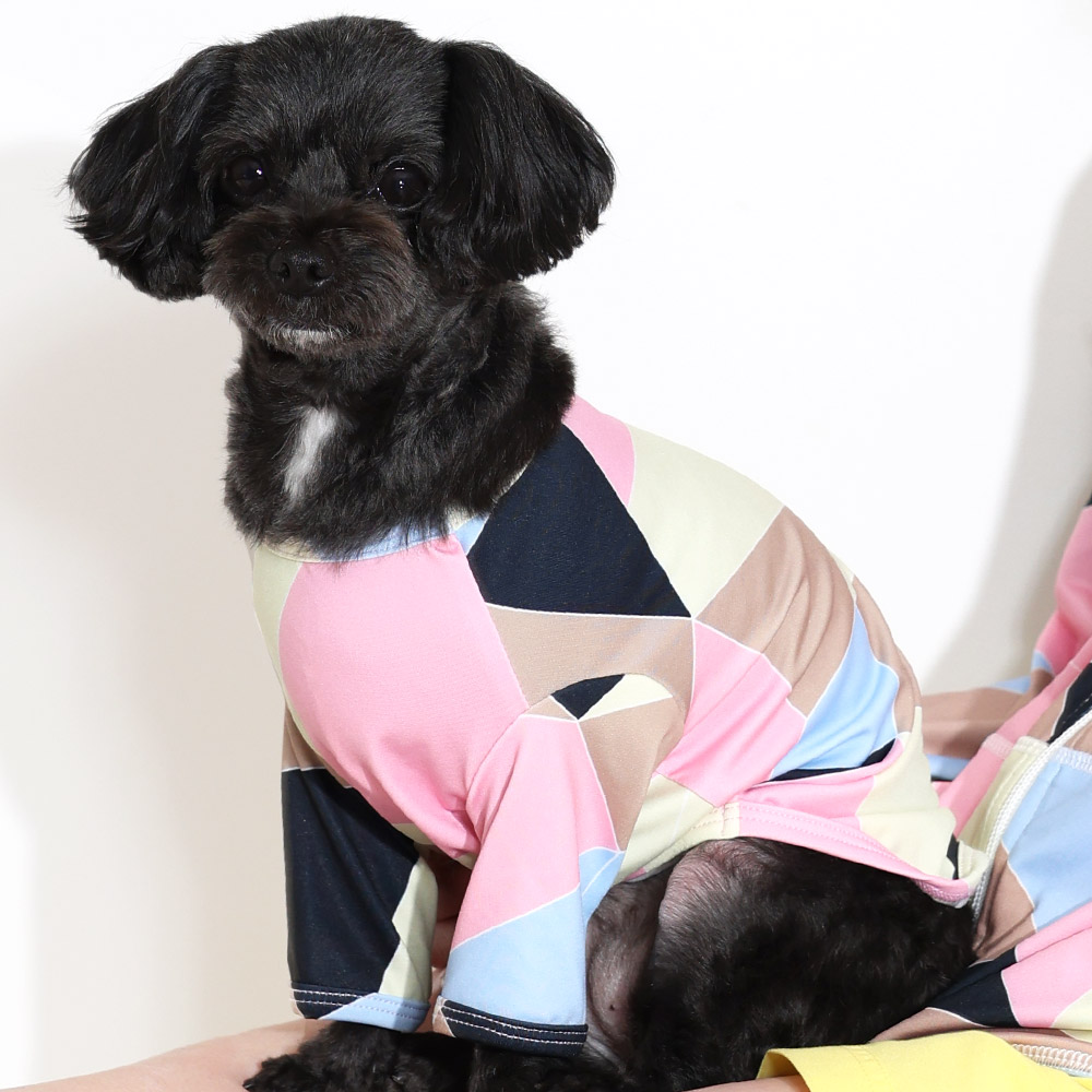 小型犬＆中型犬服 ラッシュガード 【専用】 犬 服 夏 春 伸びて 着せやすい ドッグプレイ(R) サイド切替